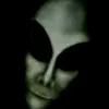 kizol.kizowski