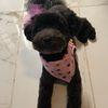 therealcocoagirl