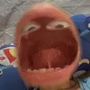 fdnh12