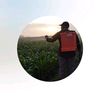 sutiono_80