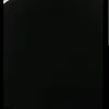 arianatje1