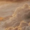 dtirxign