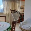 amparatqkzl