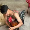 nhatlinhbentre71