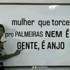 palmeiras33_____