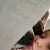 patiencecline8