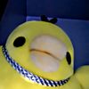 mr.duckieeee