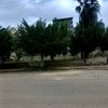 ahmedbakry525