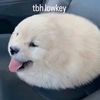 bootymeat10