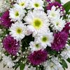 glnar.abbasova72