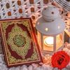 hafizabdulsaboor459