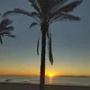 pelugata1