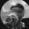 t_n569