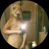 el_sebas_502_