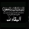 yara.ashraf799