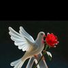 abushuaib96