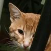 mike_el_curioso_