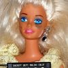 trindalyn11
