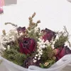 dhay_qamer
