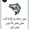 user1551356930571