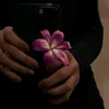 _lli807