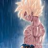 yeferson.alexanda