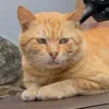 slaypaw5