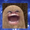 ba_sanff_ptxgaii02