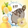 egg_z.zz