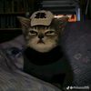 nezz11124