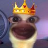 amelia.aja48