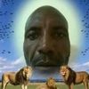 shashai_111