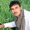 najibullahzadran574