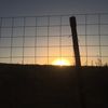 amanbaevvv07