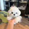 Tiệm review phim 🧸