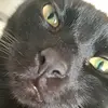 mimi135791113