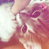 syasyaa_401