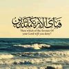 hassanhussainhass80