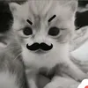 izei.wfzes12