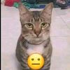 rayyann074