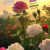 ahrammughal372