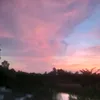 nguyen.tuomg