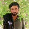 nasir.ullah835