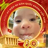 nhieee68
