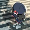 ha_ny1234