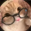leslieyyy3