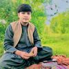 hajiarif.0
