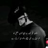 mehar.adnan649