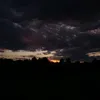 varkin_704