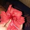user76867005858613